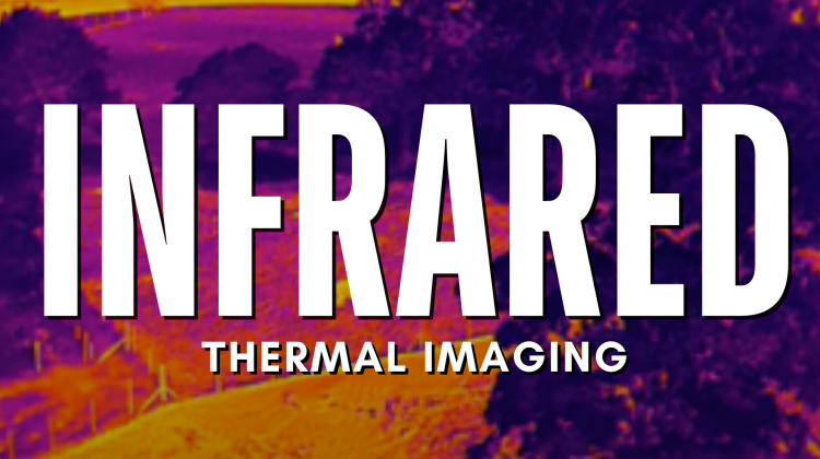 Infrared Thermal Imaging